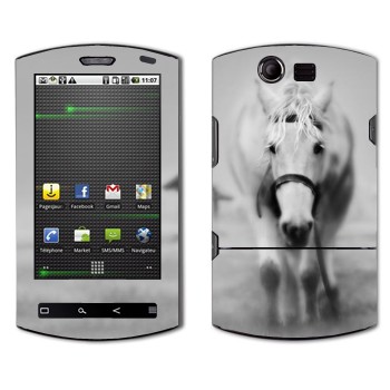 Acer Liquid E