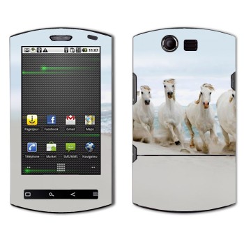 Acer Liquid E