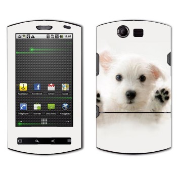 Acer Liquid E