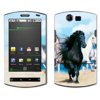 Acer Liquid E