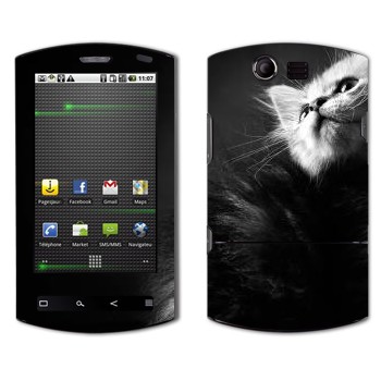 Acer Liquid E