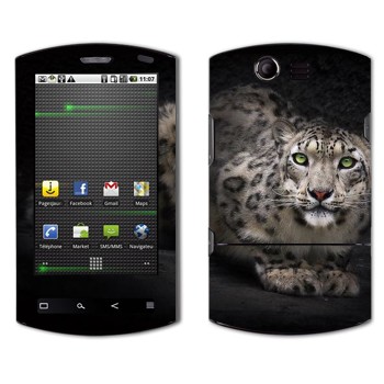 Acer Liquid E