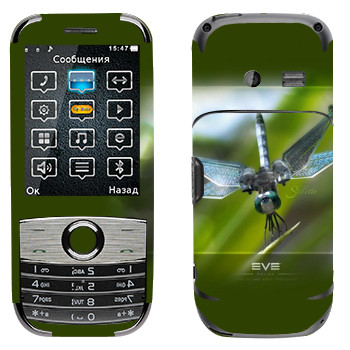   «EVE »   Fly B300