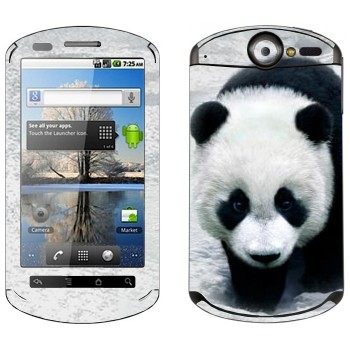 Huawei Ideos X5