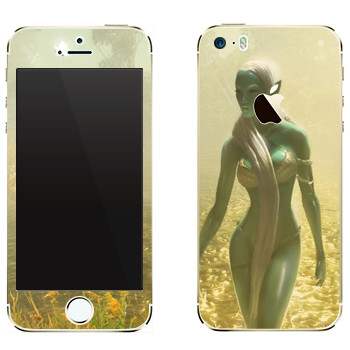 Виниловая наклейка «Drakensang» на телефон Apple iPhone 5