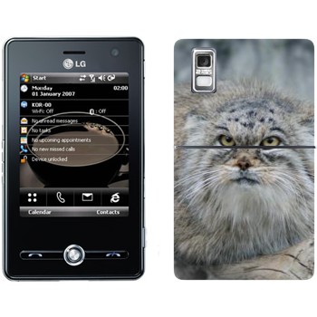   «»   LG KS20