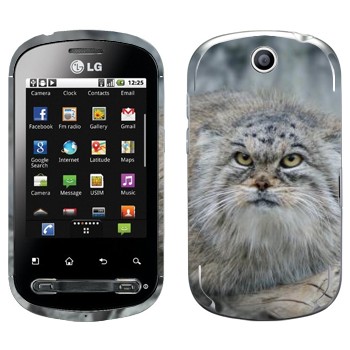   «»   LG Optimus Me