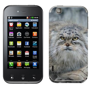   «»   LG Optimus Sol