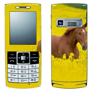   «  »   LG S310