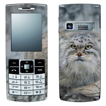   «»   LG S310