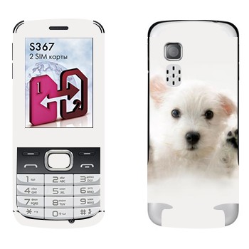   « »   LG S367