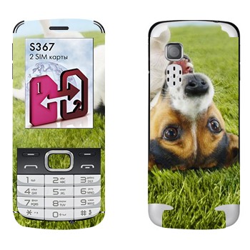   «   »   LG S367