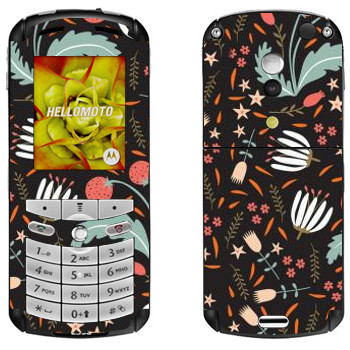  «  Anna Deegan»   Motorola E1, E398 Rokr