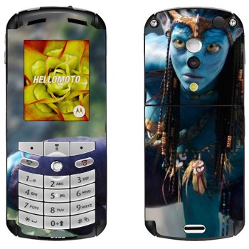   «    - »   Motorola E1, E398 Rokr