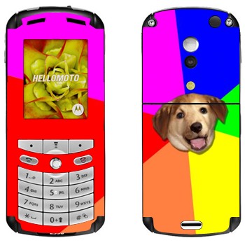   «Advice Dog»   Motorola E1, E398 Rokr