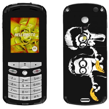   «  »   Motorola E1, E398 Rokr