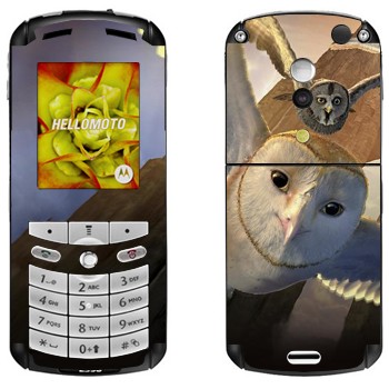   «  -  »   Motorola E1, E398 Rokr