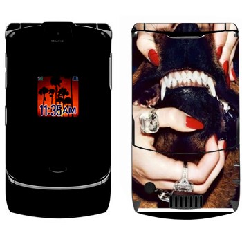   «Givenchy  »   Motorola V3i Razr