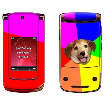   «Advice Dog»   Motorola V9 Razr2