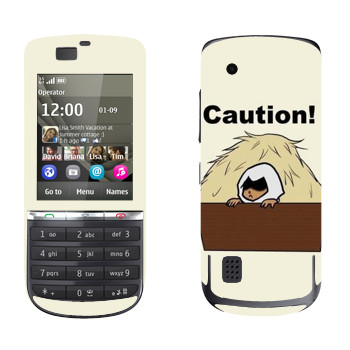 Nokia 300 Asha