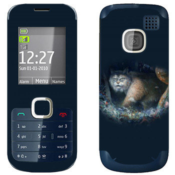   « - Kisung»   Nokia C2-00