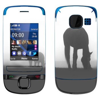   «  »   Nokia C2-05