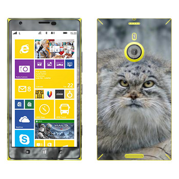   «»   Nokia Lumia 1520