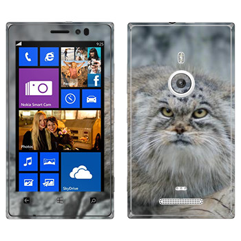   «»   Nokia Lumia 925