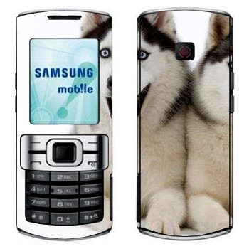   « »   Samsung C3010