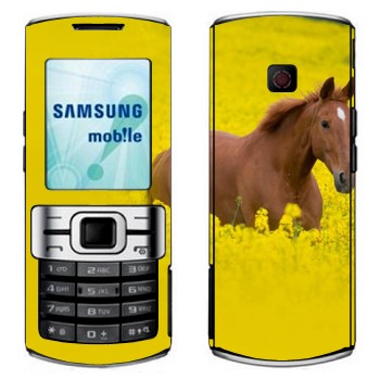   «  »   Samsung C3010