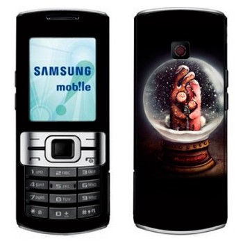 Samsung C3010