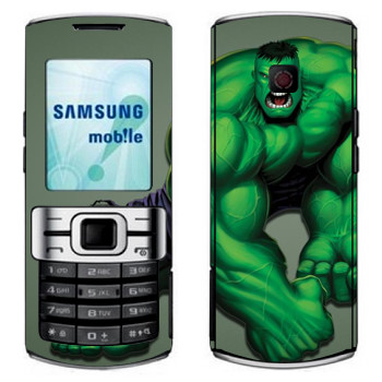   «»   Samsung C3010