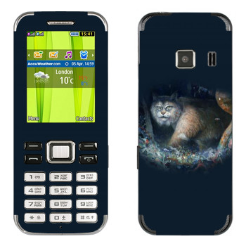   « - Kisung»   Samsung C3322