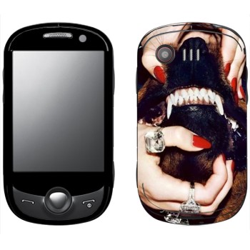   «Givenchy  »   Samsung C3510 Corby Pop