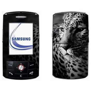Samsung D800