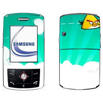   « - Angry Birds»   Samsung D800