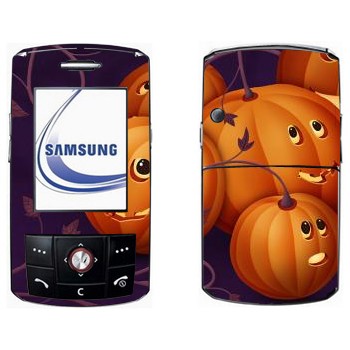   «  - »   Samsung D800