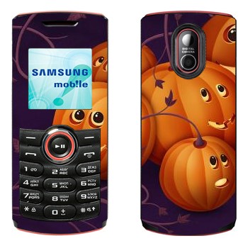   «  - »   Samsung E2120, E2121