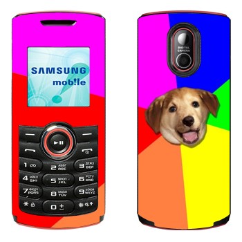   «Advice Dog»   Samsung E2120, E2121