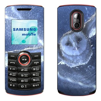 Samsung E2120, E2121