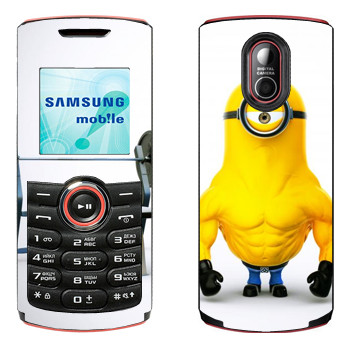   « »   Samsung E2120, E2121