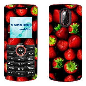 Samsung E2120, E2121