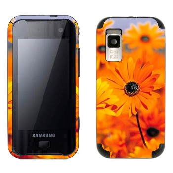 Samsung F700