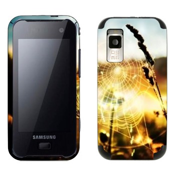 Samsung F700