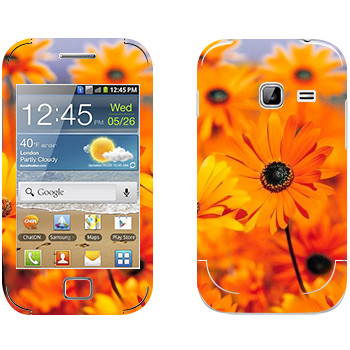   «  »   Samsung Galaxy Ace Duos