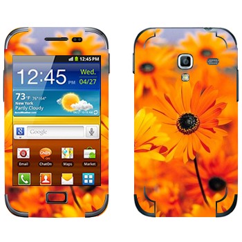   «  »   Samsung Galaxy Ace Plus