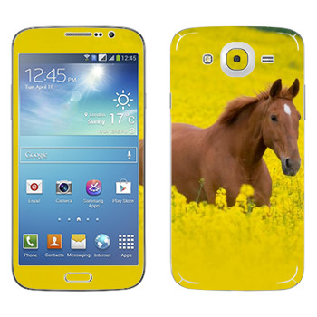   «  »   Samsung Galaxy Mega 5.8