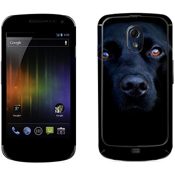 Samsung Galaxy Nexus