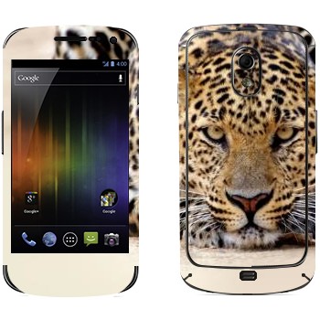   « »   Samsung Galaxy Nexus