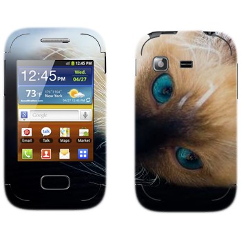   « »   Samsung Galaxy Pocket/Pocket Duos